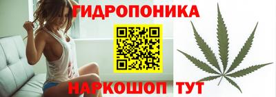 бошки Кимры