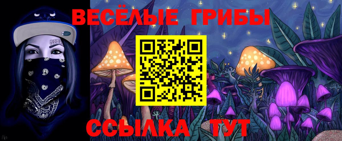 Галлюциногенные грибы Magic Shrooms  Вход с VPN  как найти закладки  Котельники  Галлюциногенные грибы Cubensis 